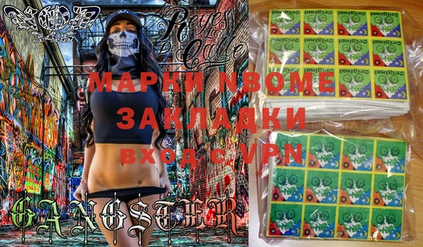 прущие грибы Алзамай