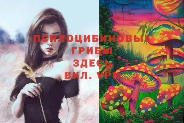 а пвп мука Алексин
