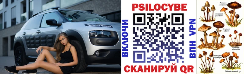 Галлюциногенные грибы прущие грибы  Спасск 